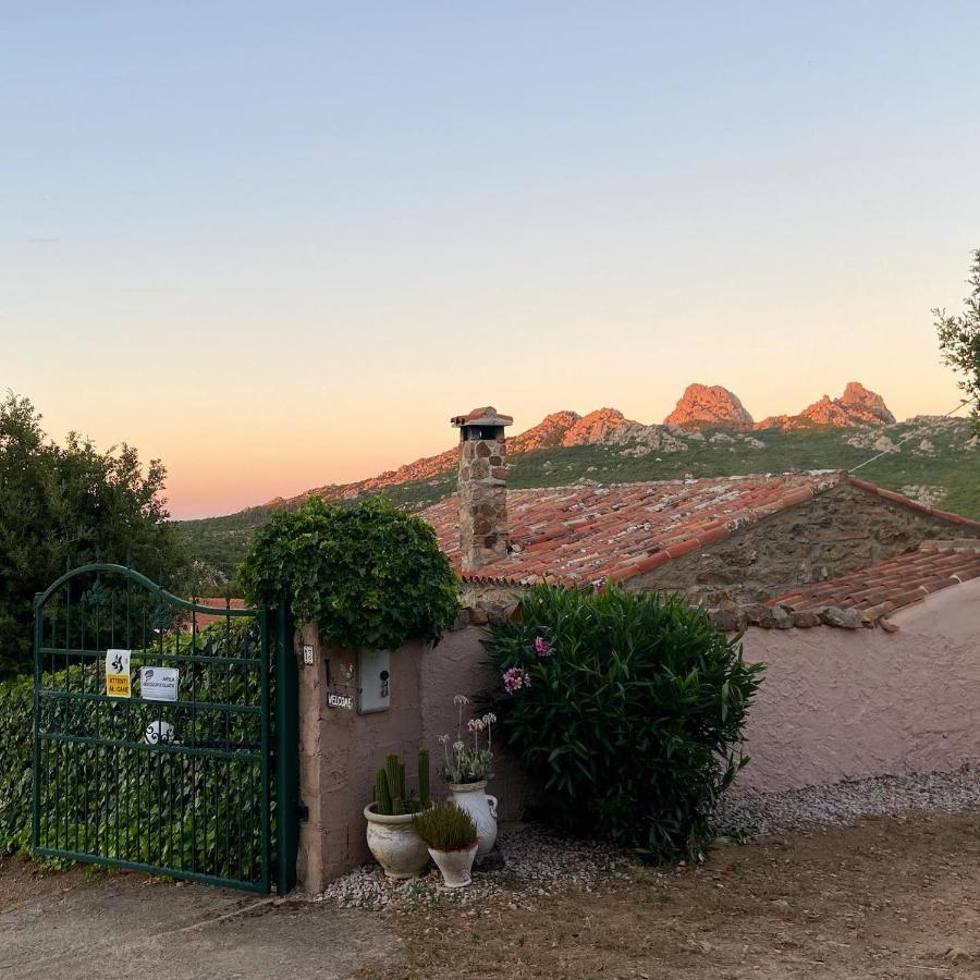 B&B La Tasgia Aggius Exterior photo