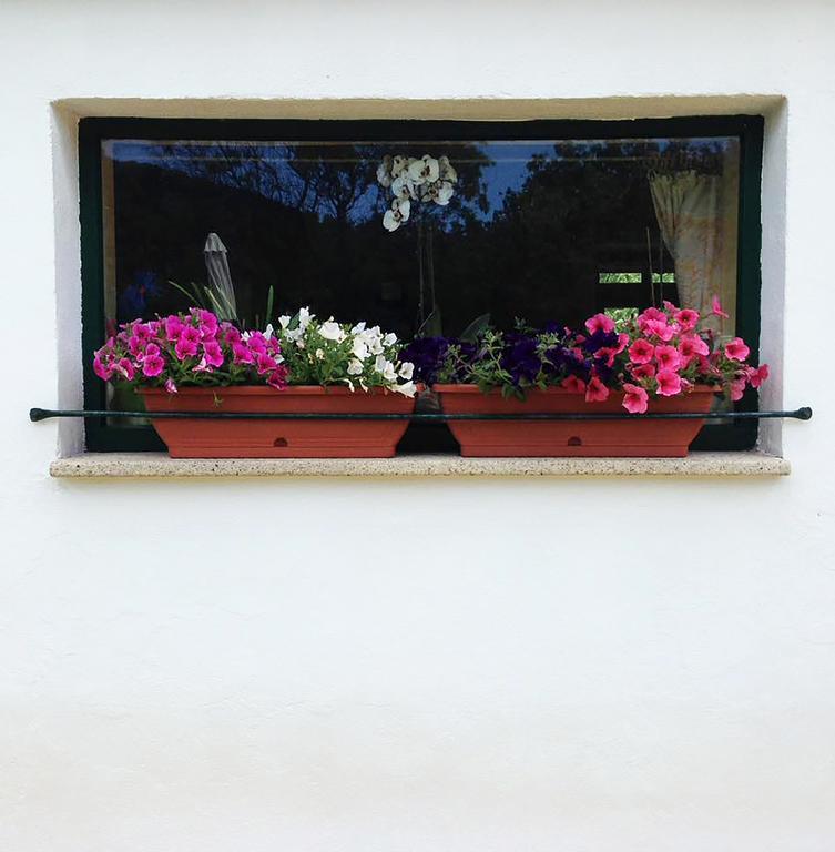 B&B La Tasgia Aggius Exterior photo